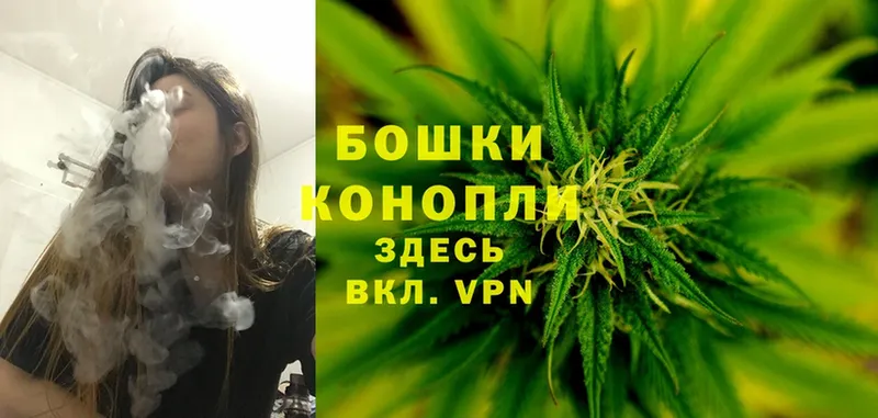 купить наркотик  Шенкурск  Бошки марихуана SATIVA & INDICA 